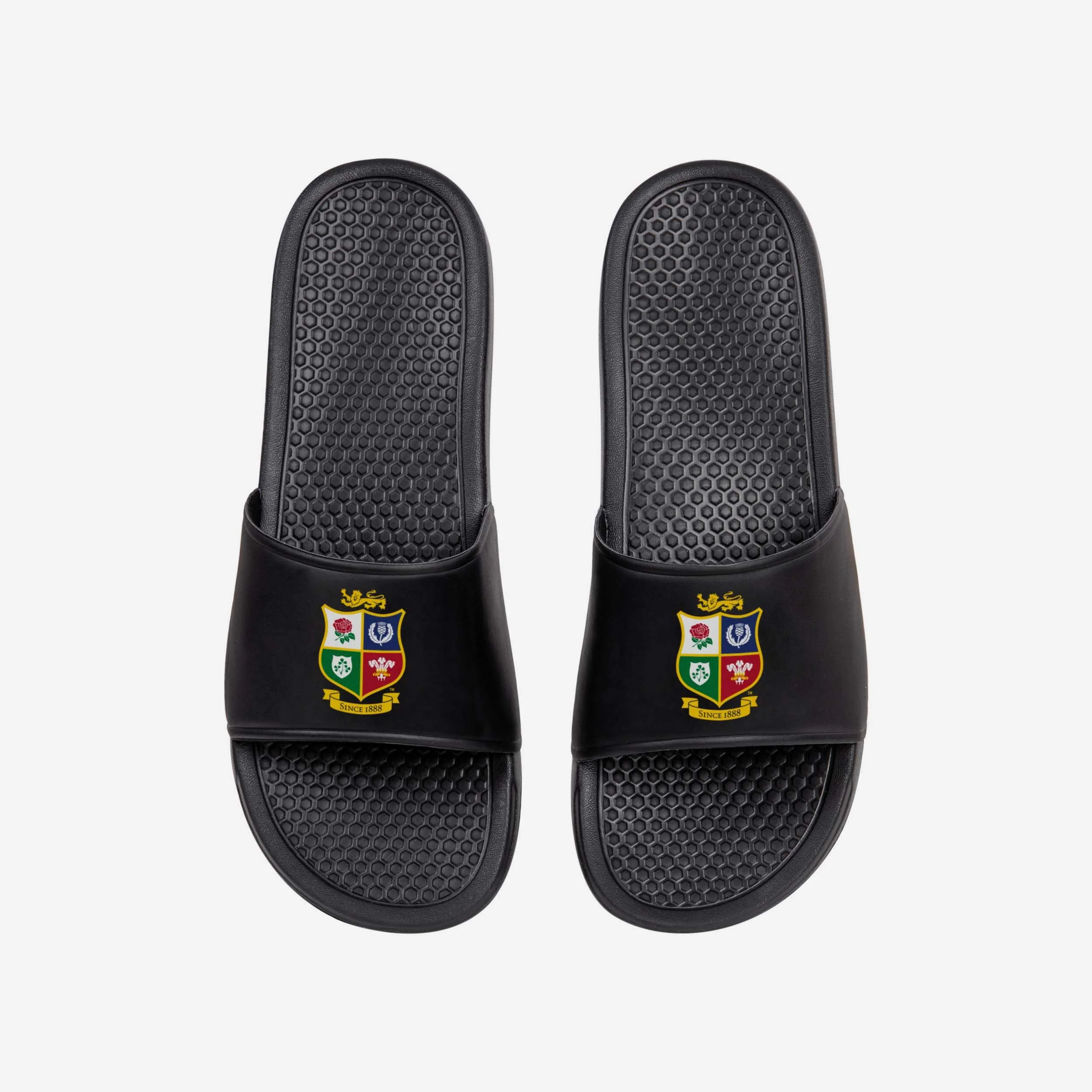 British & Irish Lions Core Slider