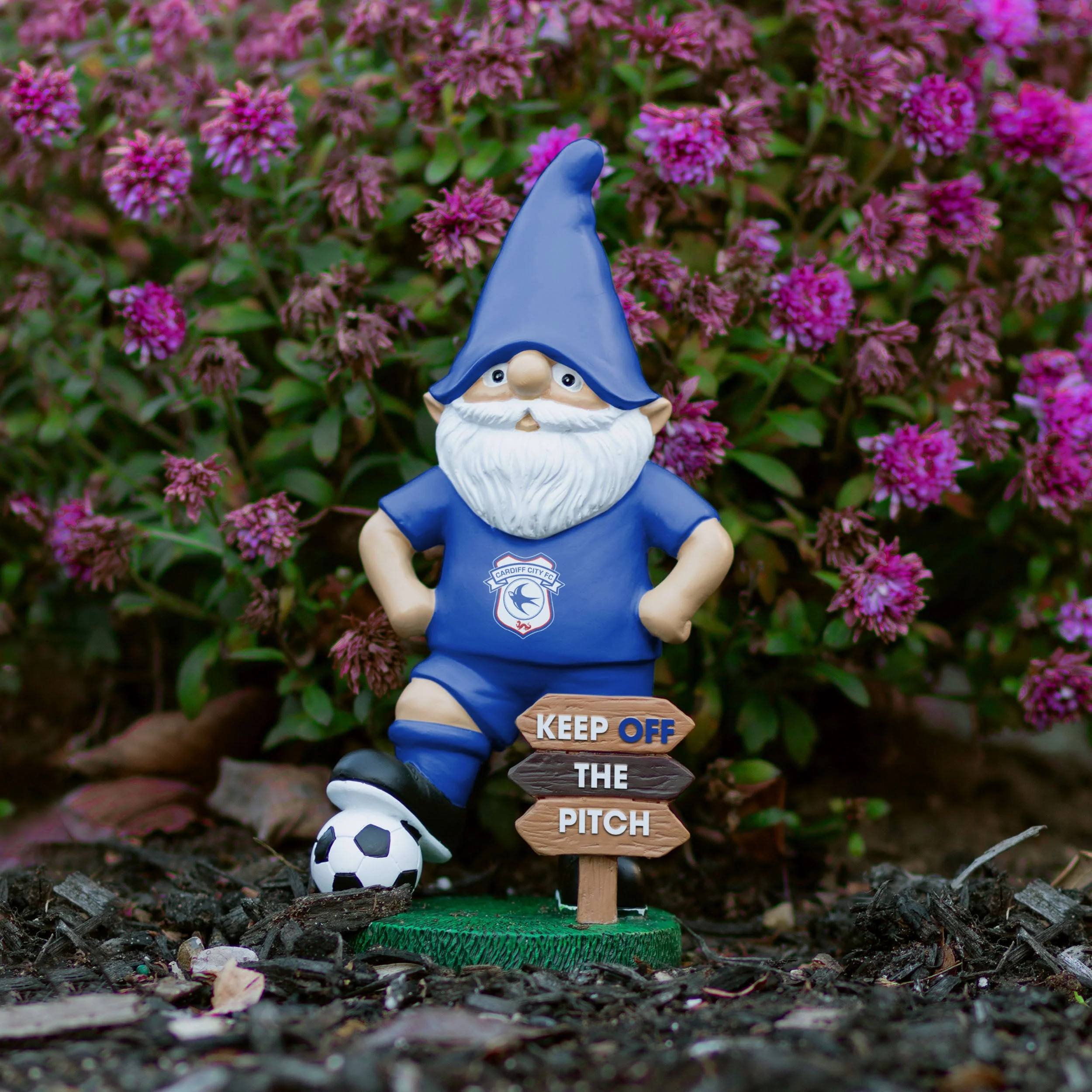 Cardiff City FC Keep Off The Pitch Gnome - Image 5