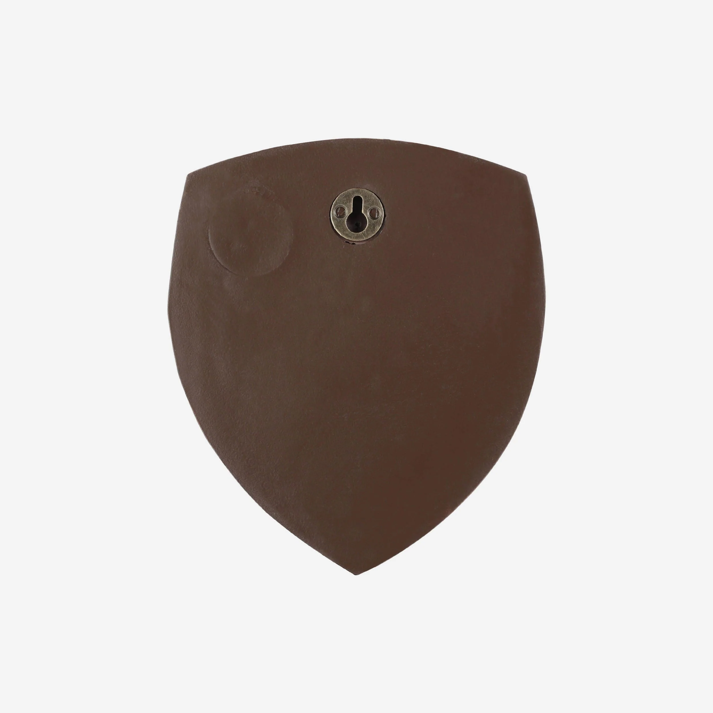 Cork City FC Bronze Effect Wall Sign - Image 4