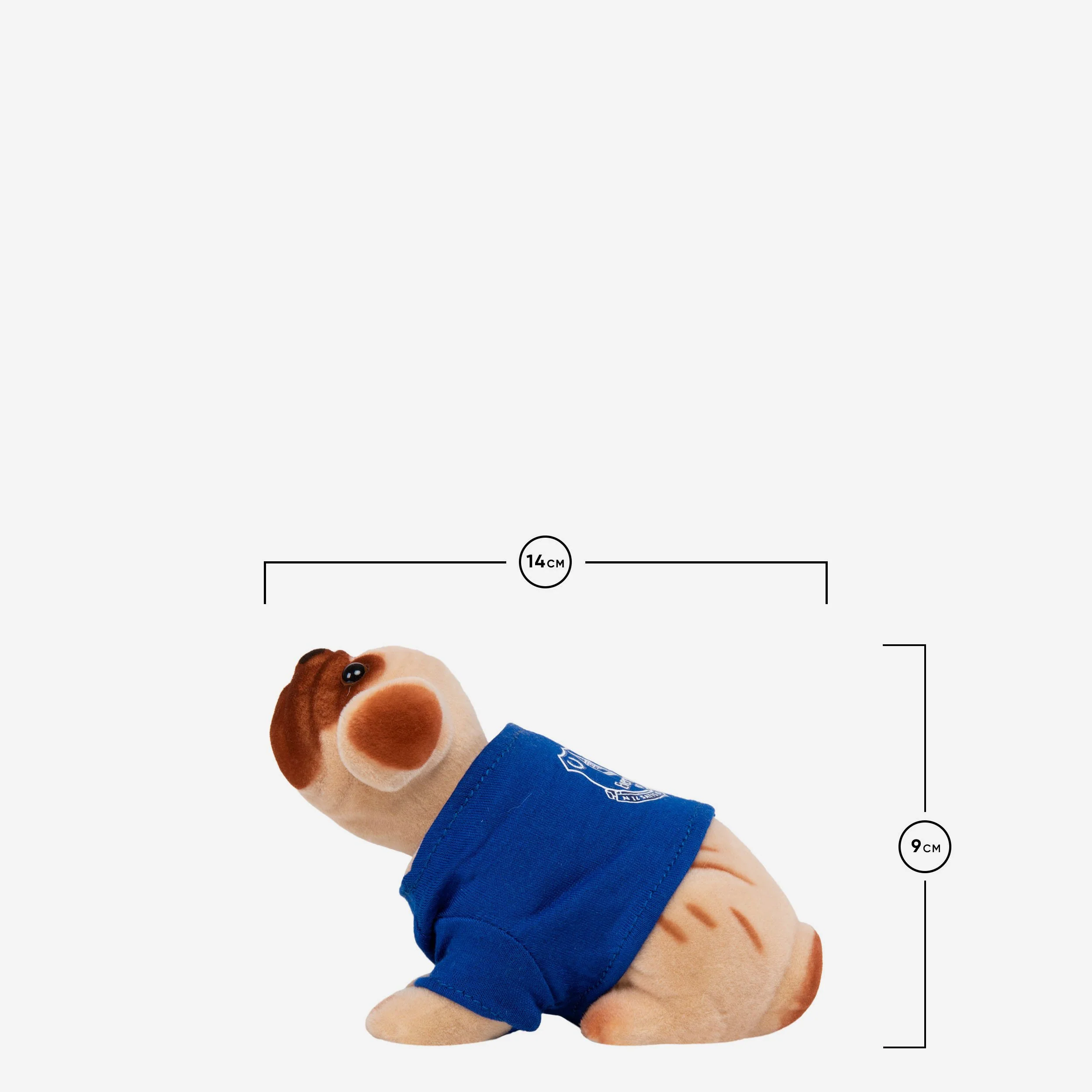Everton FC Nodding Dog - Image 3