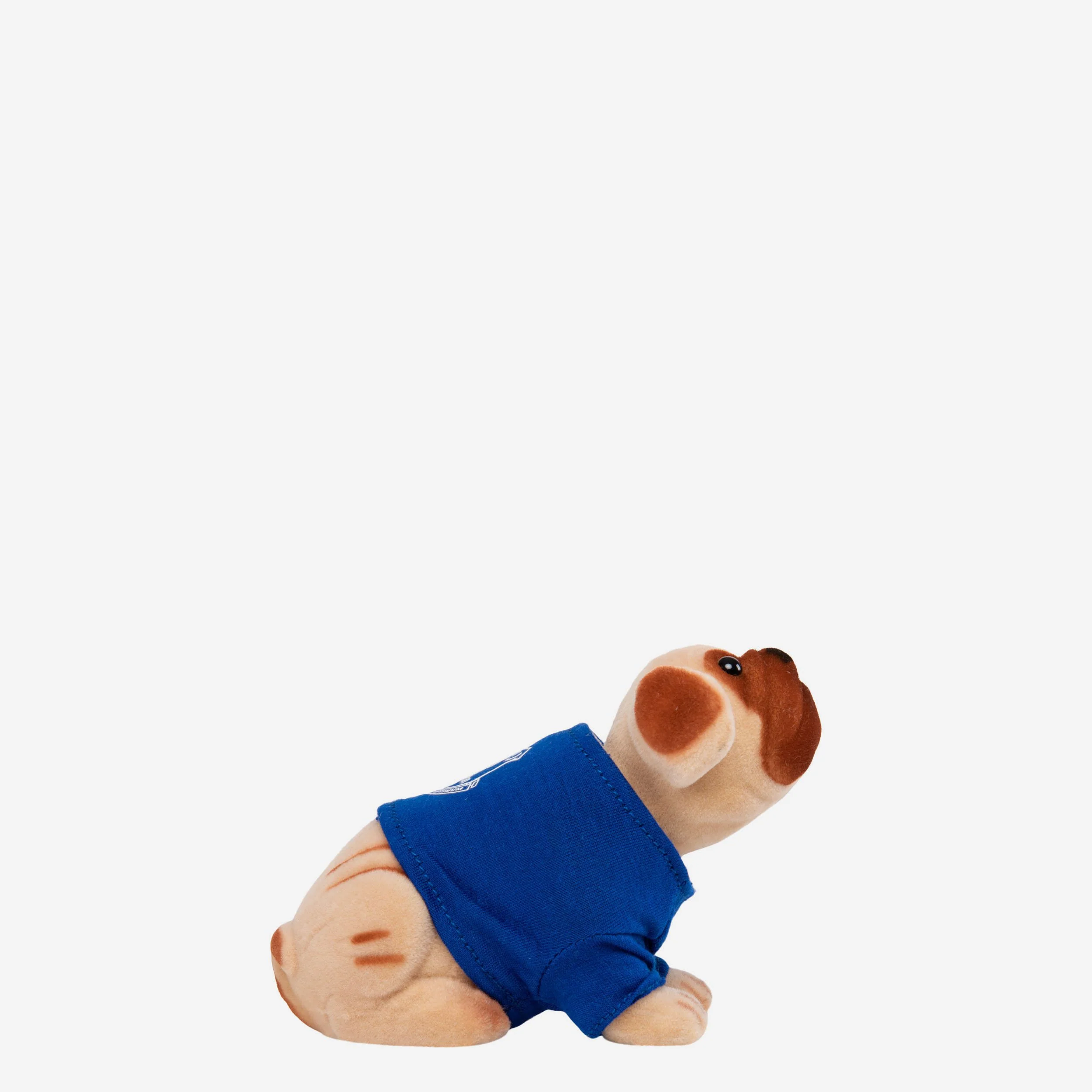 Everton FC Nodding Dog - Image 4