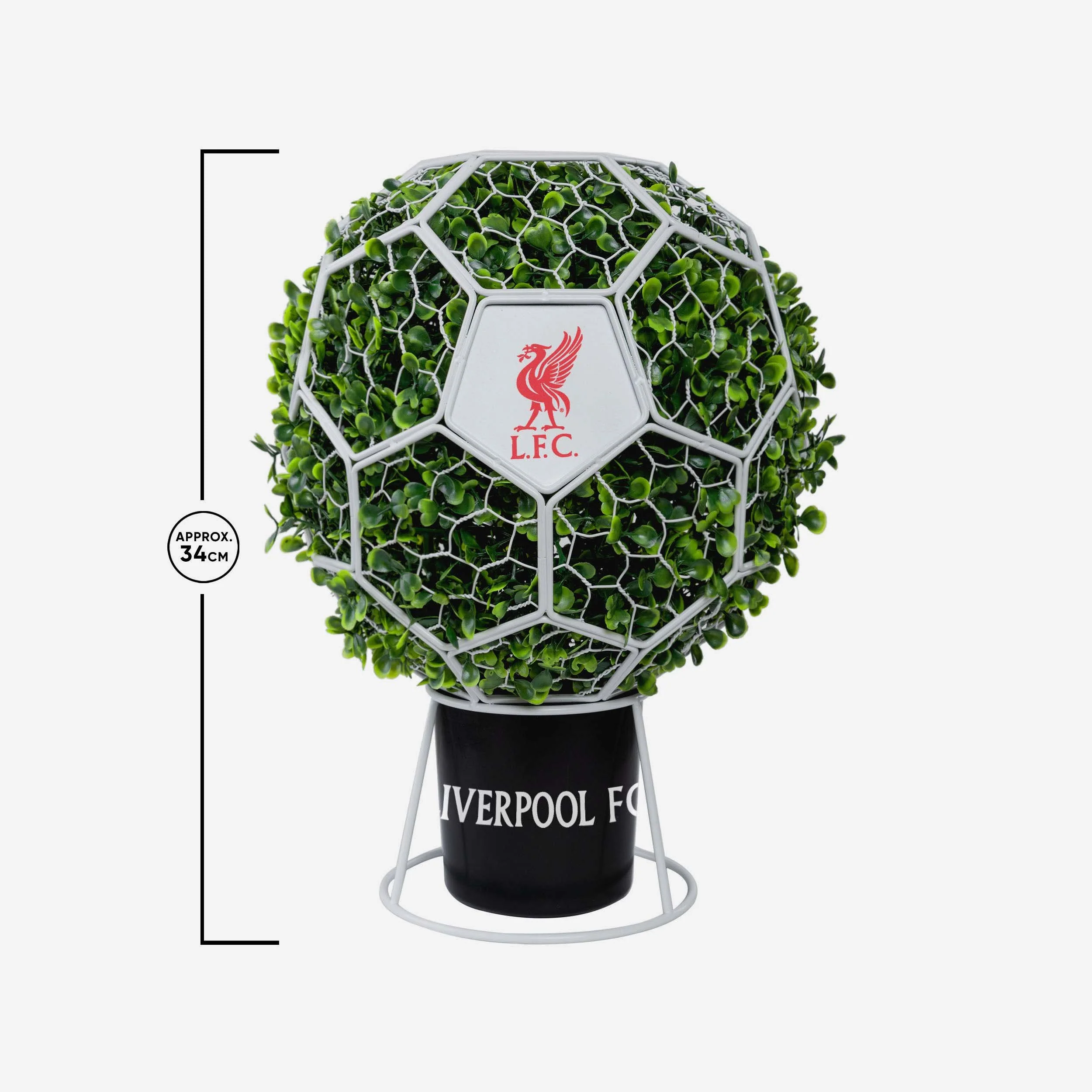 Liverpool FC Ball Topiary Frame With Leaves - Image 5