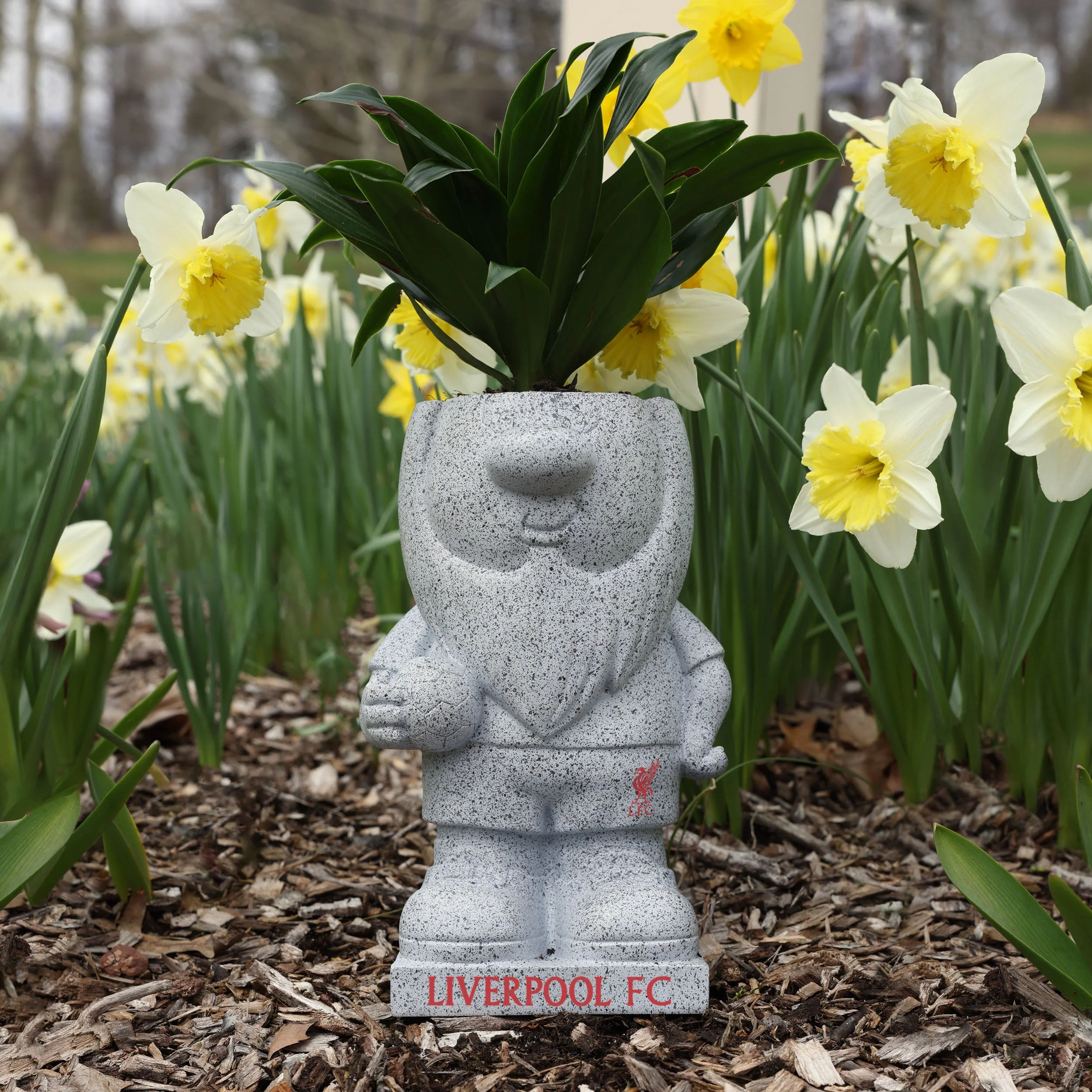 Liverpool FC Stone Effect Planter Gnome - Image 5