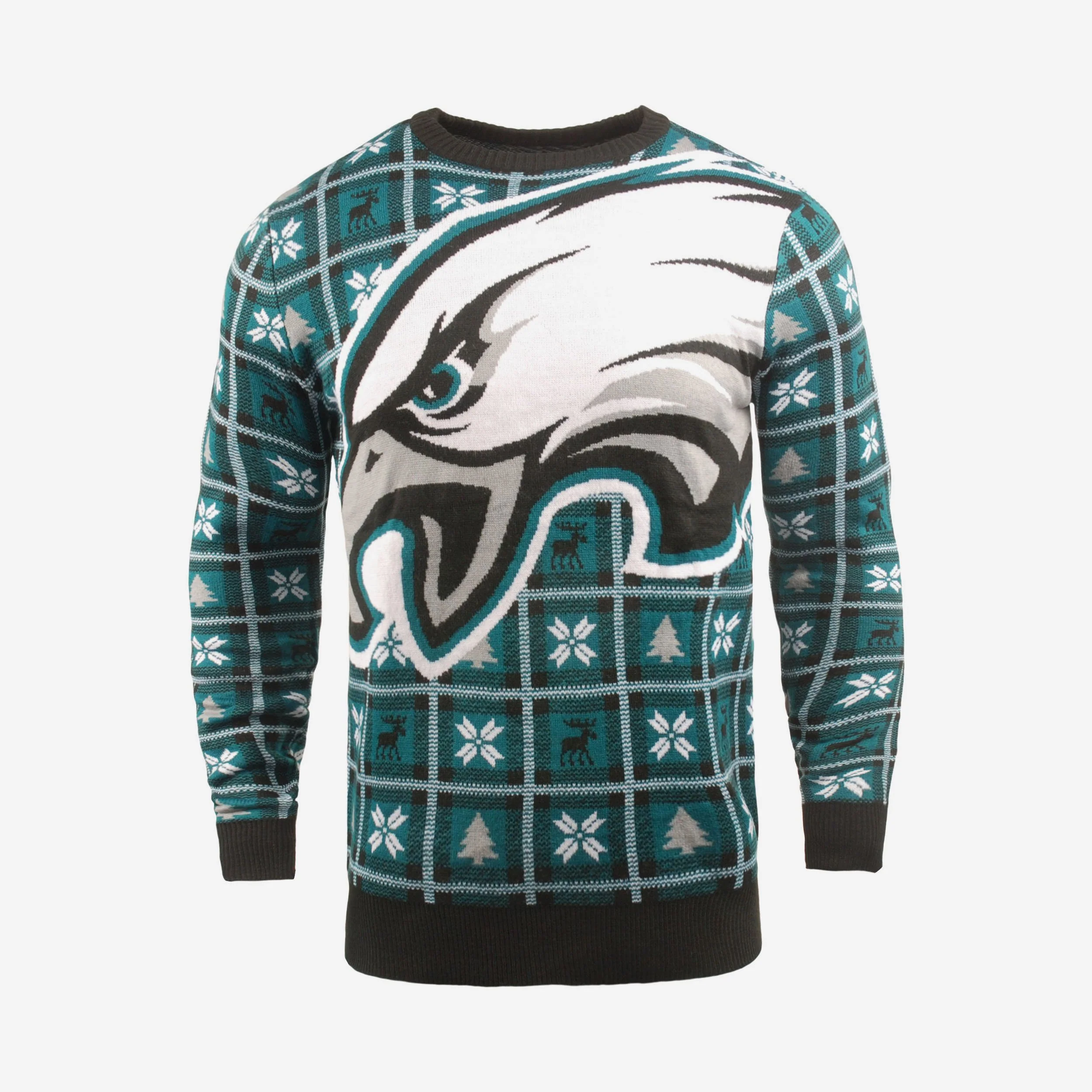 Philadelphia Eagles Big Logo Sweater
