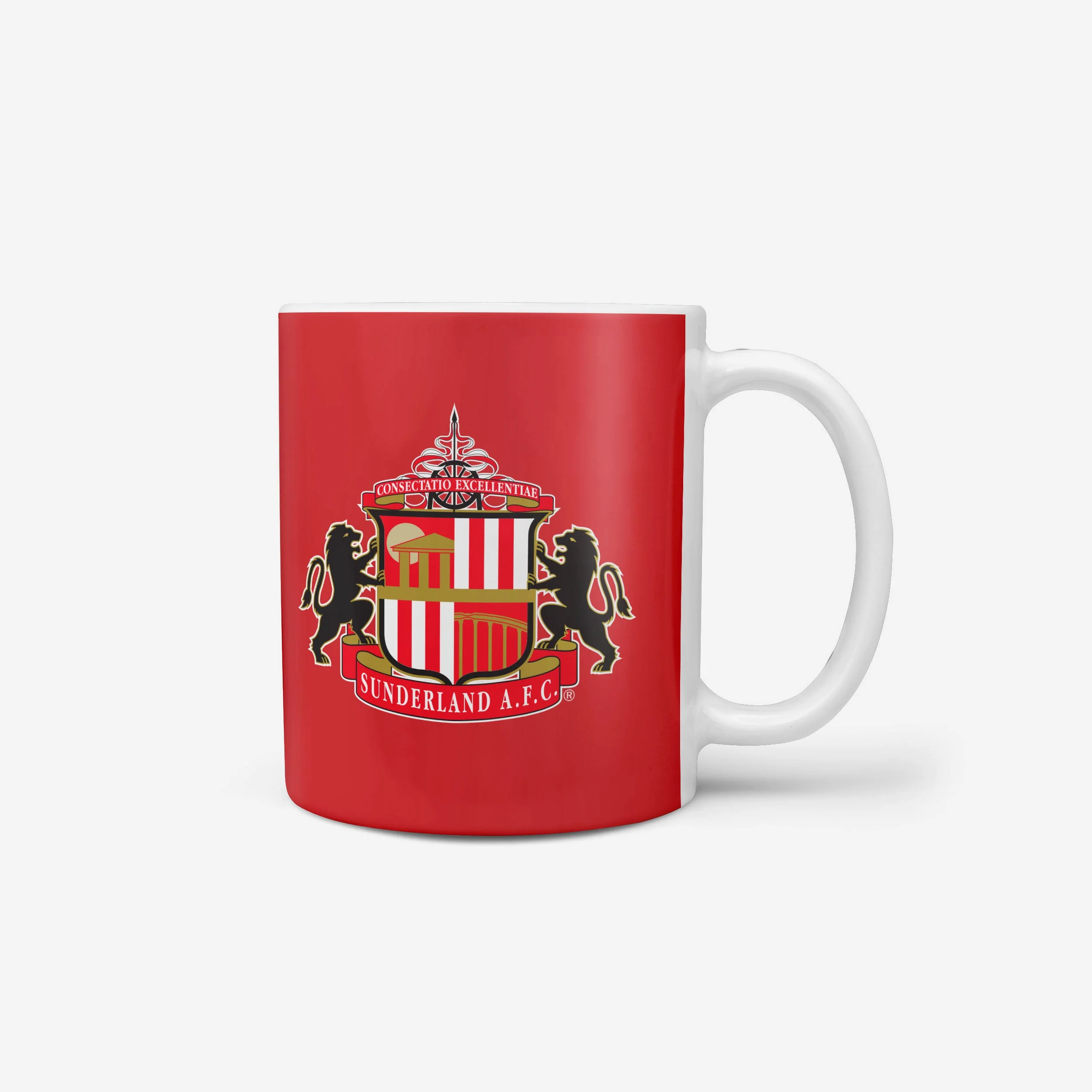Sunderland AFC Worlds Best Dad Mug - Image 2