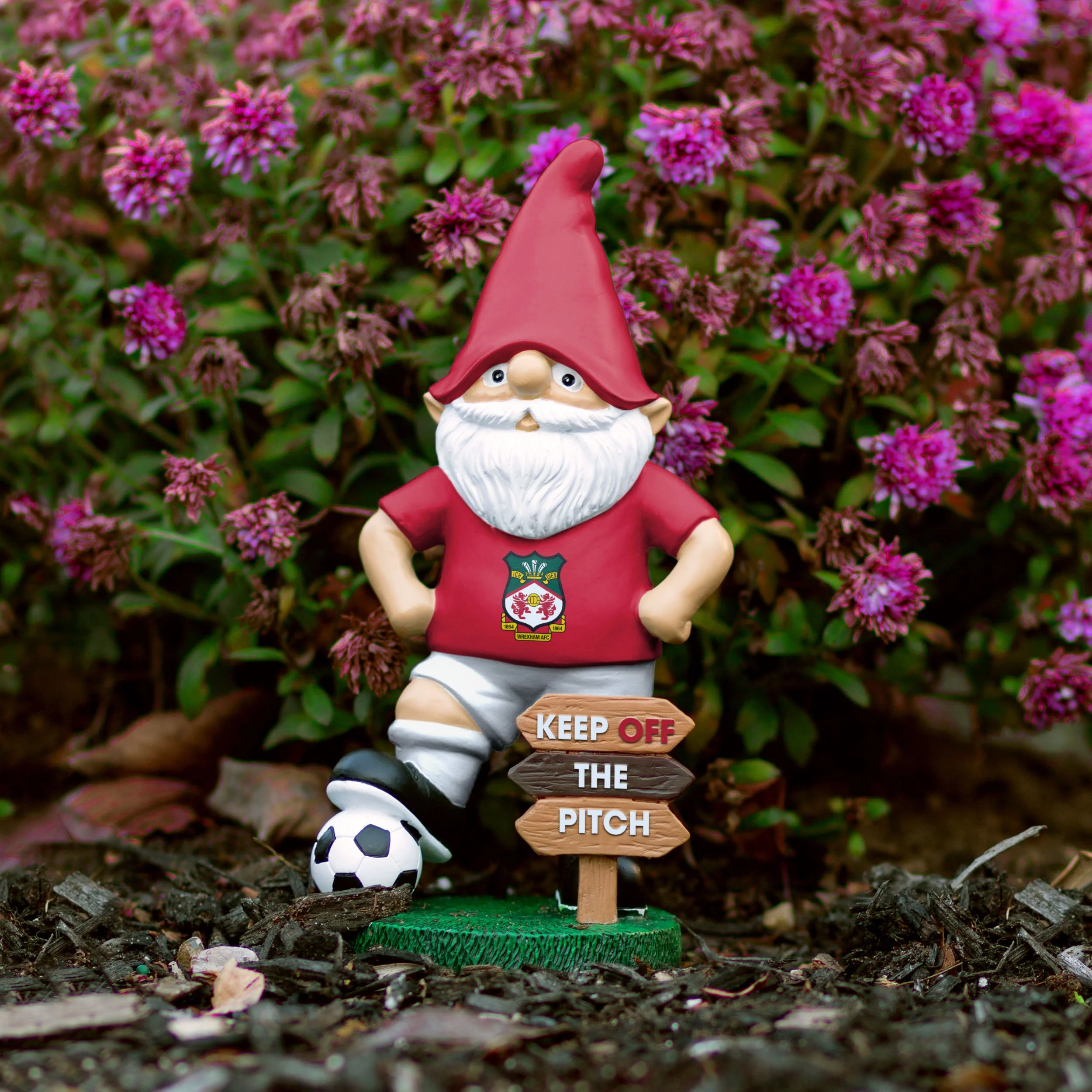 Wrexham AFC Keep Off The Pitch Gnome - Image 5